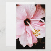 Hibiskus Briefpapier (Vorne/Hinten)