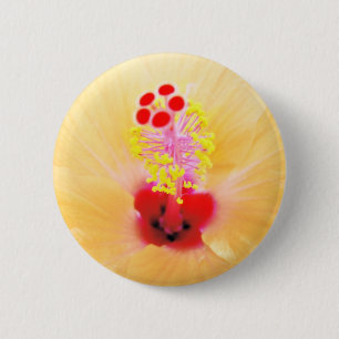 Hibiskus Button