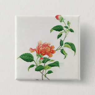 Hibiskus Button