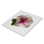 Hibiskus Candy Striper Fliese (Seite)
