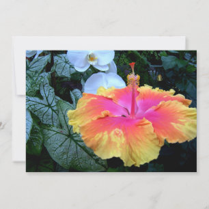 Hibiskus Einladung