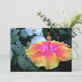 Hibiskus Einladung (Stehend Vorderseite)