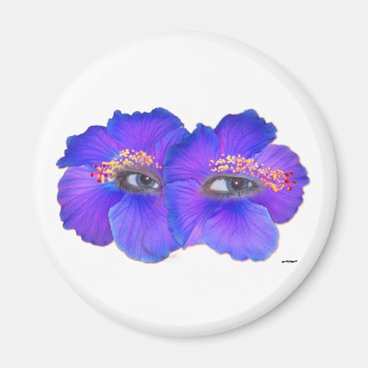 Hibiskus Eyes - Blue Magnet (Vorne)