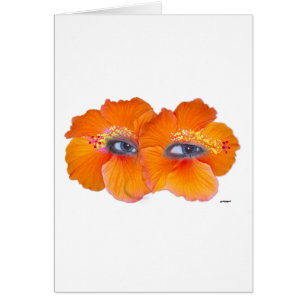 Hibiskus Eyes - Orange