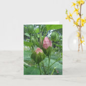 Hibiskus-Fehlerdatenbank-Karte Karte (Gelbe Blume)