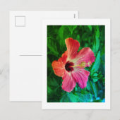 Hibiskus Feiertagspostkarte (Vorne/Hinten)