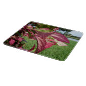 Hibiskus-"Feuer-und Eis-" Pflanze Schneidebrett (Ecke)