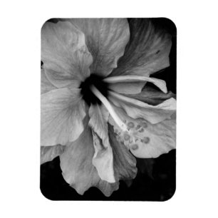 Hibiskus-Flieger Magnet