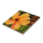 Hibiskus Fliese (Seite)