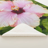 Hibiskus Fotoblau Sherpadecke (3/4)