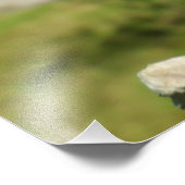 Hibiskus Fotodruck (Ecke)