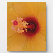 Hibiskus Fotoplatte (Vorderseite)