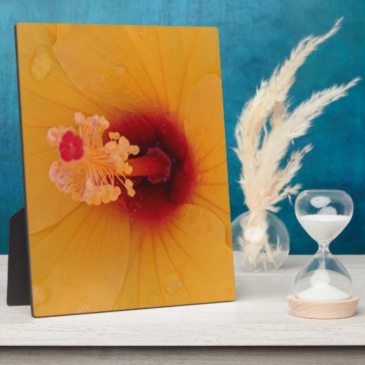 Hibiskus Fotoplatte (Seite)