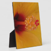 Hibiskus Fotoplatte (Seite)