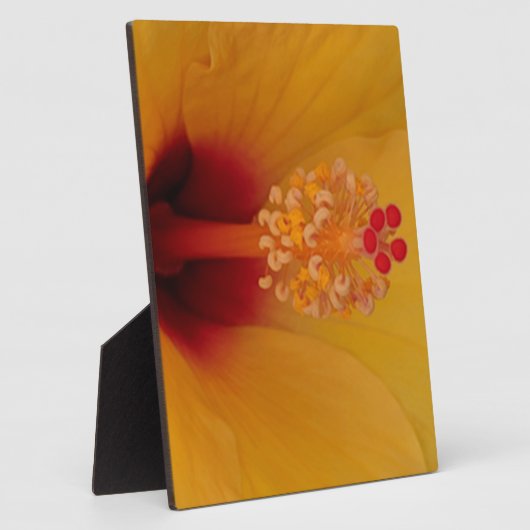 Hibiskus Fotoplatte (Seite)