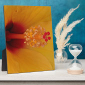 Hibiskus Fotoplatte (Seite)