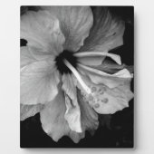 Hibiskus Fotoplatte (Vorderseite)