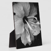 Hibiskus Fotoplatte (Seite)