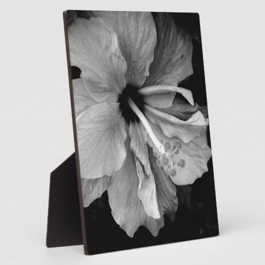 Hibiskus Fotoplatte (Seite)
