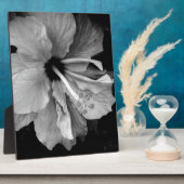 Hibiskus Fotoplatte (Seite)