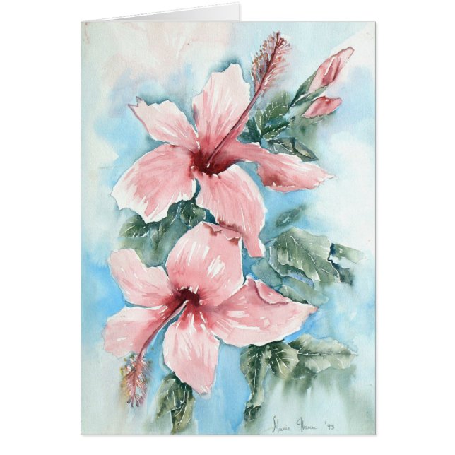 Hibiskus-Freude (Vorne)