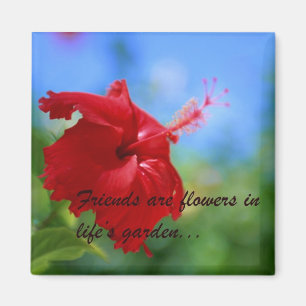 Hibiskus-Freundschafts-Zitat-Magnet Magnet