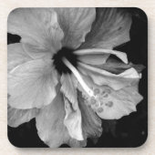 Hibiskus Getränkeuntersetzer (Vorderseite)