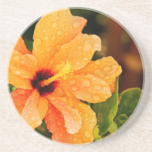 Hibiskus Getränkeuntersetzer