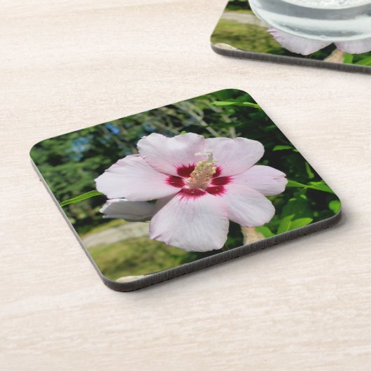 Hibiskus Getränkeuntersetzer (Linke Seite)