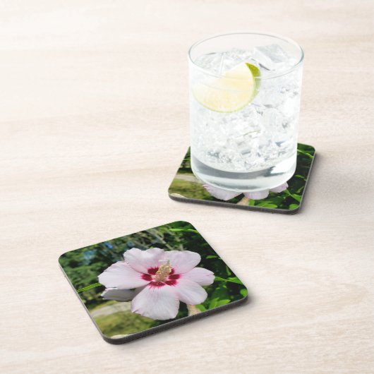 Hibiskus Getränkeuntersetzer (Rechte Seite)