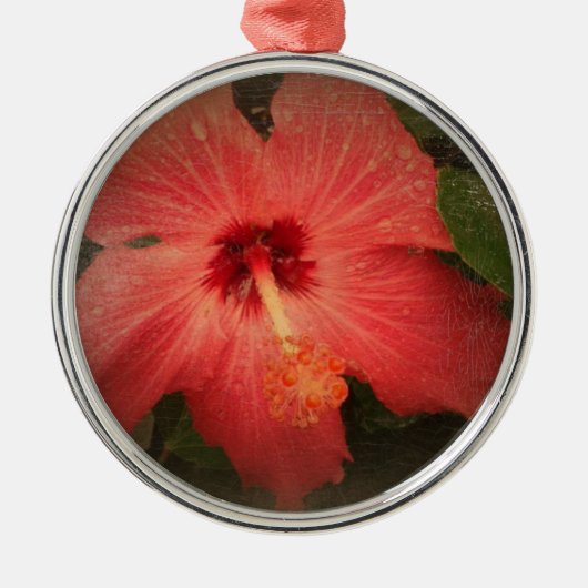 Hibiskus Grunge Silbernes Ornament (Vorne)