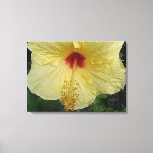 Hibiskus-Haische Leinwand (Vorderseite)