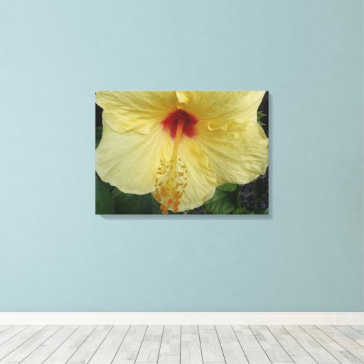 Hibiskus-Haische Leinwand (Insitu (Holzboden))