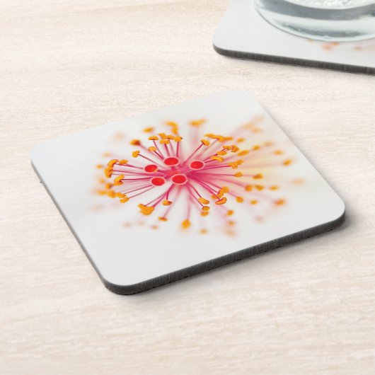 Hibiskus-harte PlastikUntersetzer (Set von 6) Getränkeuntersetzer (Linke Seite)