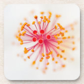 Hibiskus-harte PlastikUntersetzer (Set von 6) Getränkeuntersetzer (Vorderseite)