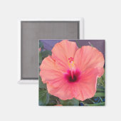 HIBISKUS HEIM MAGNET (Vorderseite/Rückseite)