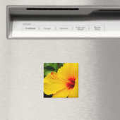 Hibiskus hellgelb magnet (In Situ (Geschirrspüler))