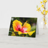 Hibiskus Hellgelb mit rotem Herzen Karte (Gelbe Blume)