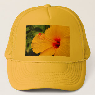 Hibiskus hellgelb truckerkappe