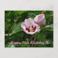 Hibiskus Hibiskus 50. Geburtstag Jubiläum