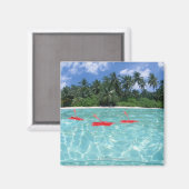 Hibiskus im Meer Magnet (Vorderseite/Rückseite)
