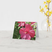 Hibiskus in heiß rosa, Beileid Karte (Gelbe Blume)