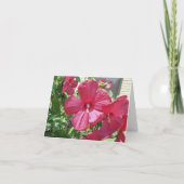 Hibiskus in heiß rosa, Beileid Karte (Rückseite)