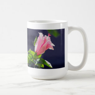 Hibiskus in heller Sonneneinstrahlung Kaffeetasse