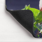 Hibiskus in heller Sonneneinstrahlung Mousepad (Ecke)