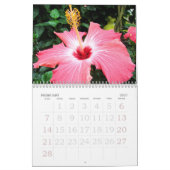 Hibiskus-Kalender Kalender (Feb 2027)