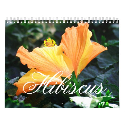 Hibiskus-Kalender Kalender (Titelbild)