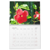 Hibiskus-Kalender Kalender (Jan 2027)