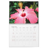 Hibiskus-Kalender Kalender (Feb 2026)