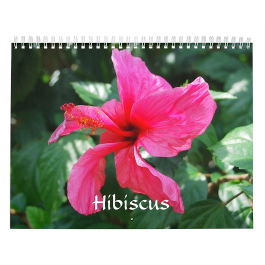 Hibiskus-Kalender Kalender (Titelbild)
